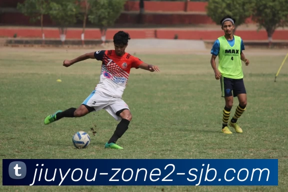 九游专区2，九游专区，九游官网，九游活动专区，九游APP平台生态图